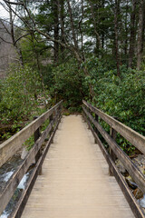 wooden bridge over a creek in the forest