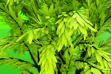 3d illustration  close up of realistic green decorative tree isolated on  green background. Stylized deciduous tree
