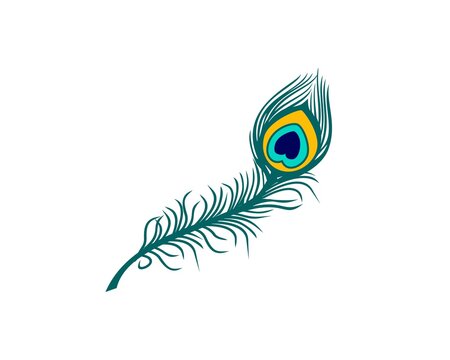 peacock feather color vector illustration