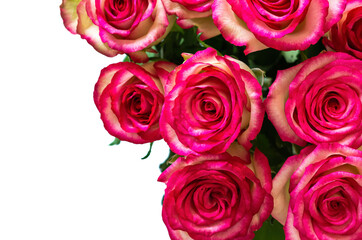 Colorful bouquet of roses on white background for Mother day and Valentine's day concept.