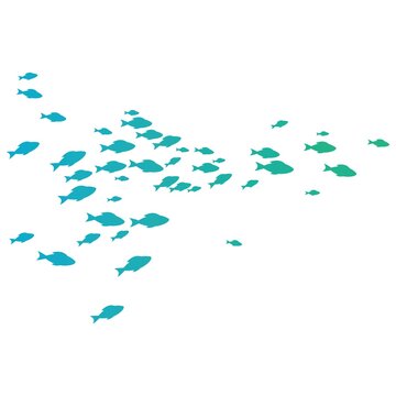 Free Fish Images Browse 14 804 Free Stock Photos Vectors and Video