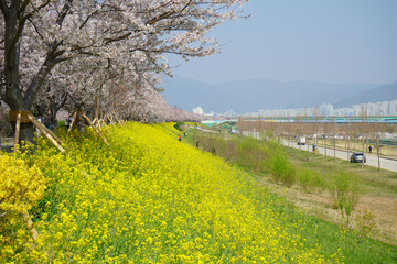 spring