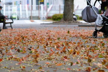 上野公園の落ち葉