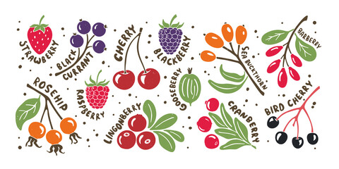 Bright and juicy berry set. Colorful illustration with hand drawn lettering isolated on transparent background