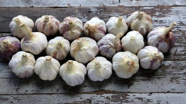 Whole Bulb Organic Russian Red Elephant Garlic