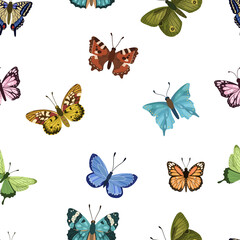 Butterfly vector Seamless pattern,spring time.