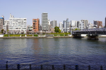 view of the river and cherry blossoms 3