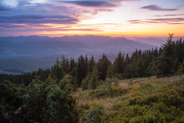Fototapeta na wymiar Very beautiful dawn in the Ukrainian Carpathian mountains in summer.