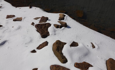 animal tracks in the snow