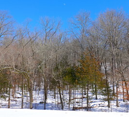 snow covered hills with the moon in the sky