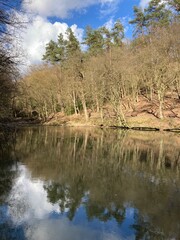 Landschaft am See im Wald im Frühling