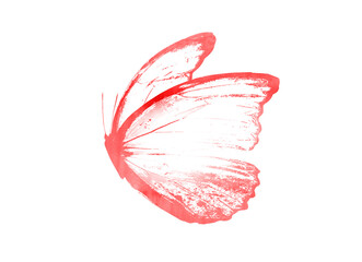 Color watercolor abstract butterfly as imprint, isolated on white background