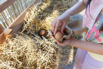 Children collect chicken eggs on the farm