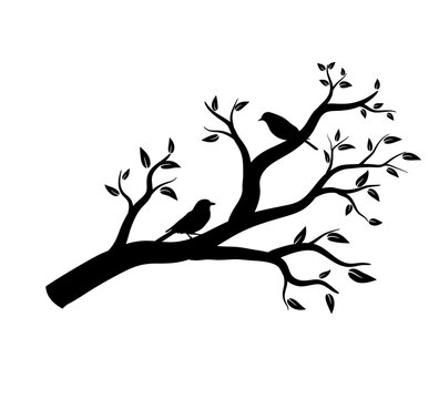 Vector silhouette of the birds on branch