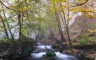 Obraz premium waterfall in the forest