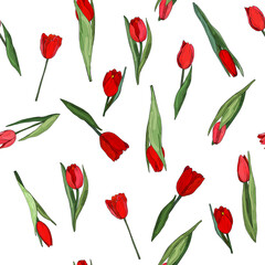 Red tulip. Seamless vector pattern of hand drawn botanical elements. Isolated buds and leaves on a white background. Latin name Tulipa. Design for card, fabric, paper.