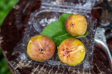 Shockproof packaging to prevent bruising of fresh figs.