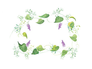 Vegetable frame. Green leaves and a blooming wild flower on a white background.Watercolour image.