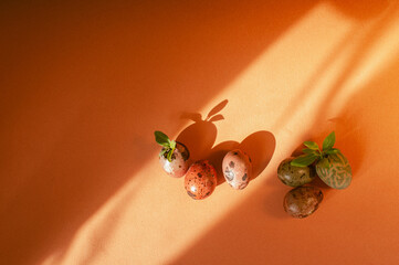Quill eggs sunny colorful spring beautiful top view flat lay background with copy space growth concept 