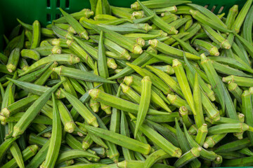 
Whole raw green okra vegetable food background