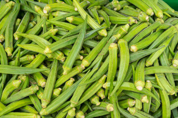 
Whole raw green okra vegetable food background