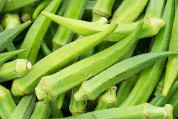 
Whole raw green okra vegetable food background
