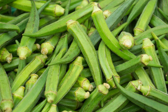 Quiabo Bilder Durchsuchen 33,757 Archivfotos, und