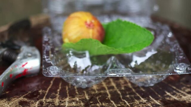 Shockproof packaging to prevent bruising of fresh figs. 