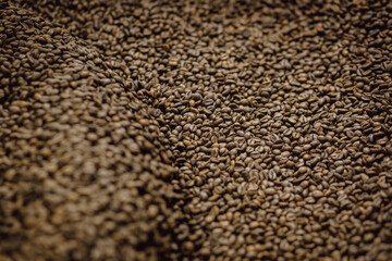 Fresh Coffee Beans. Arabica coffee beans in cooler machine.
