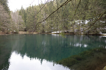 Waldsee umringt von Bäumen im thüringer Wald