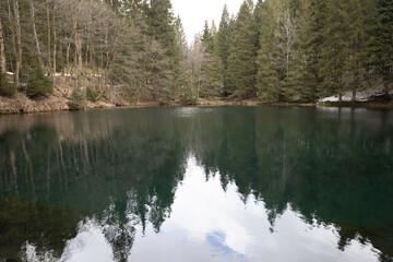 Obraz premium Wunderschöner Waldsee auf einer Lichtung im wald mit Spiegelung der Bäume