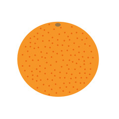 Orange is a healthy natural fruit on an isolated background.