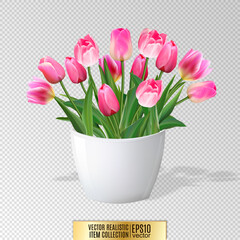 Bouquet of pink tulips in vase isolated on white background