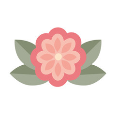 Isolated pink flower.