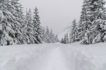 Obraz premium Alpine Touring Ski Tracks in Mountains on Snowy Day