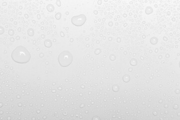Water drops on white background, top view