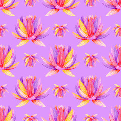 Colorful lotus flower seamless pattern on purple background.