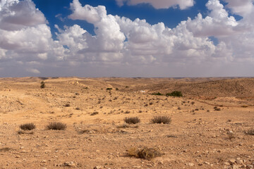 Fototapeta na wymiar vast expanses of desert terrain, covered with rare vegetation