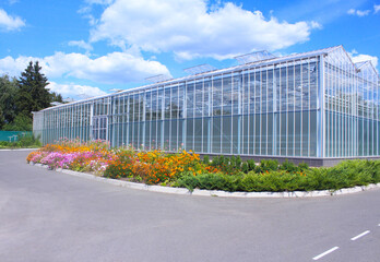 Fototapeta na wymiar Glass greenhouse with a summer sky. The greenhouses are covered with a transparent film made from grown vegetables and fruits. Agriculture, organic products. Harvest plants in the greenhouse.