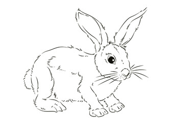 Easter. Linear rabbit image. Vector image, isolated. Coloring for children.