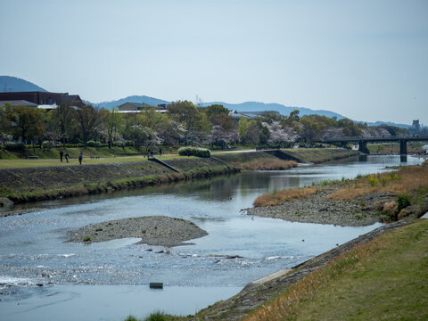 鴨川の眺め