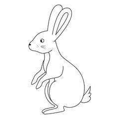 Rabbit. The hare stands on its hind legs. Sketch. Vector illustration. Coloring book for children. Doodle style. An animal with long ears. Light Easter. Outline on an isolated white background. 