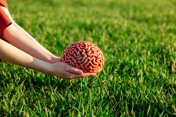 Woman hands hold human brain over green wheat field. experience metaphor