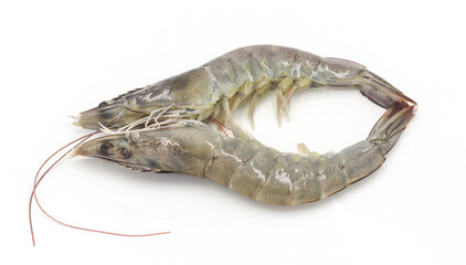 Fresh shrimp isolated on white background seafood tiger prawn