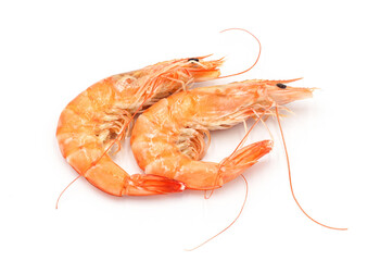 Fresh shrimp isolated on white background seafood tiger prawn
