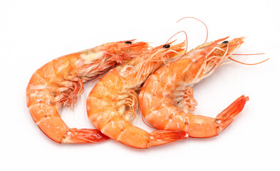 Fresh shrimp isolated on white background seafood tiger prawn