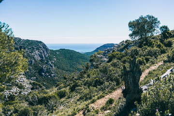 Obraz premium view from the top of a mountain in catalonia.