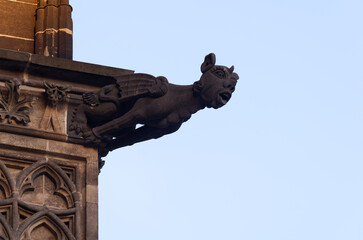 Wasserspeier an der Südseite am Kölner Dom