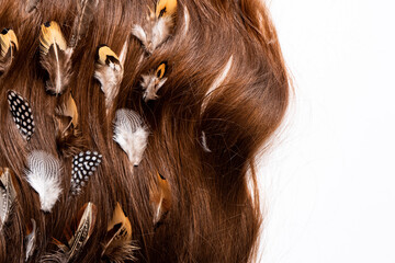 Naklejka premium Many feathers of different birds are woven into dark long hair on a white background