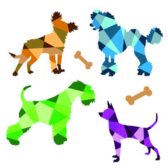 Vector multicolored set geometric silhouettes of dogs isolated on a white background